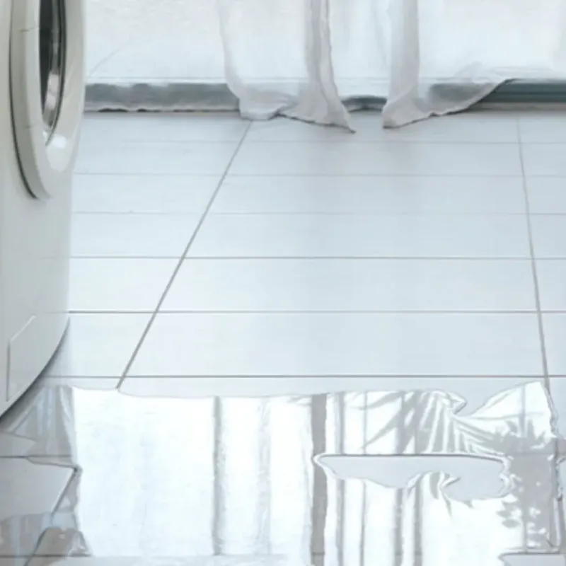 Appliance Leak Cleanup in Clarksburg, MD